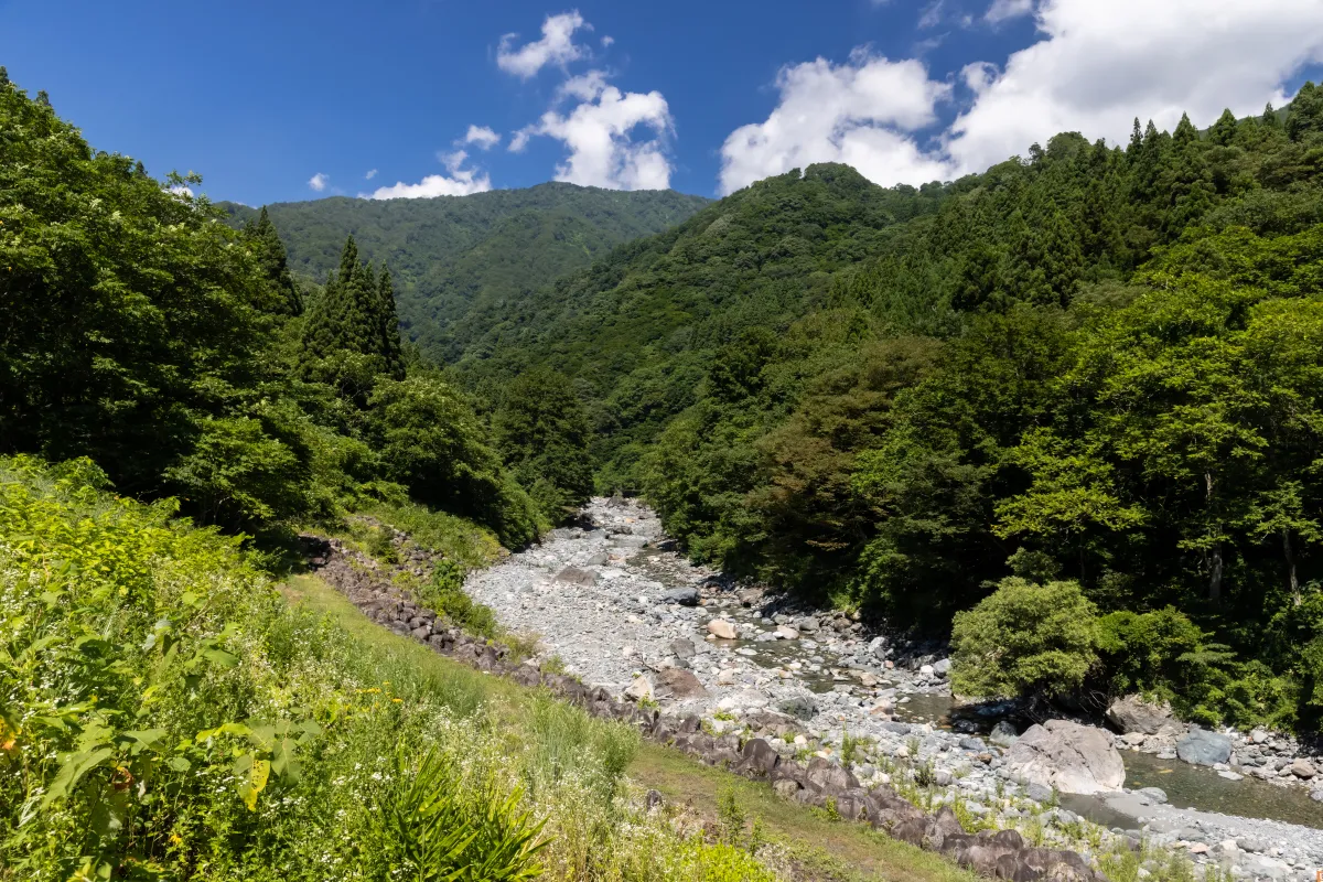 川の近くも歩けます