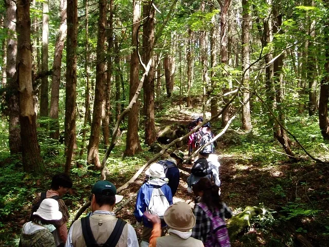 里山の探検観察