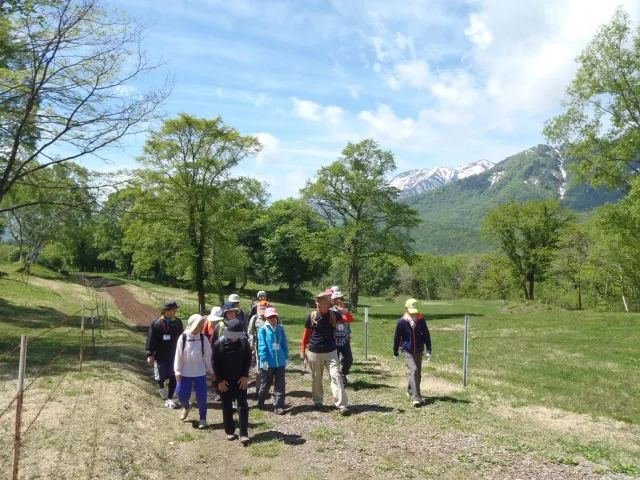 妙高高原駅と笹ヶ峰高原を結ぶ｢笹ヶ峰直行バス」。