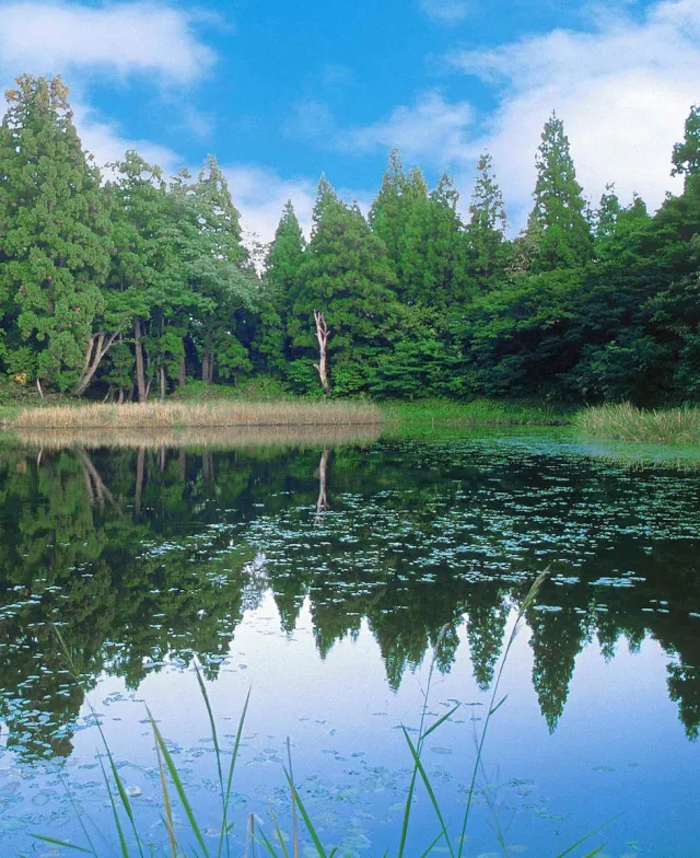 郡殿の池