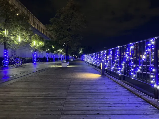 万代島 光の架け橋2026 NIIGATA 2km LIGHT WALK