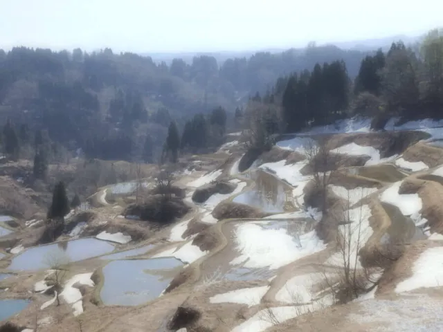 越後松代棚田群 蒲生の棚田