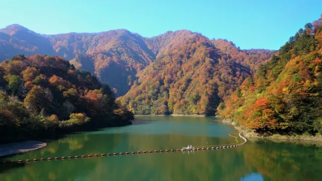 紅葉の見頃