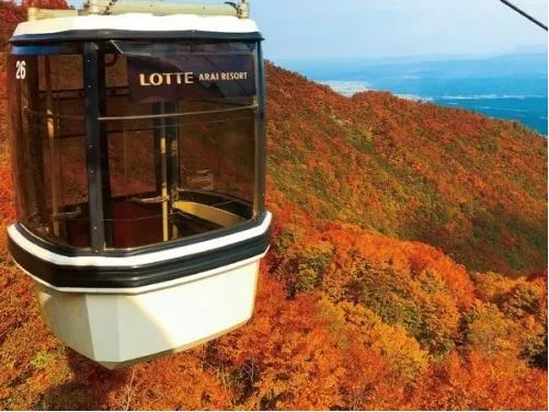 紅葉の見頃