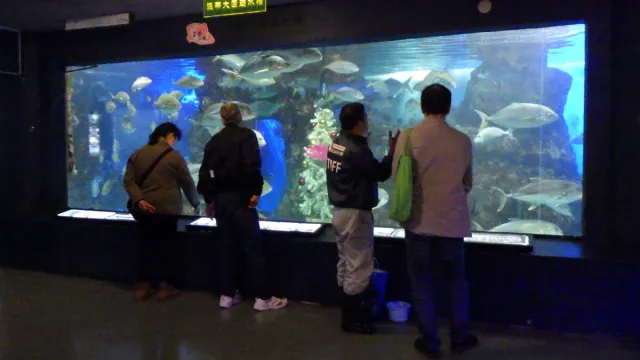 【寺泊水族博物館】高校生以上限定 ～大人のバックヤードツアー～