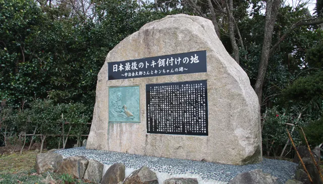 日本最後のトキ餌付けの地