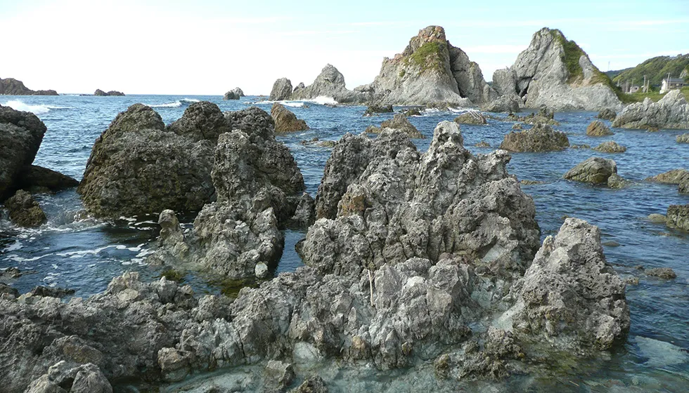 岩礁が多い典型的な隆起海岸の光景が広がっています。