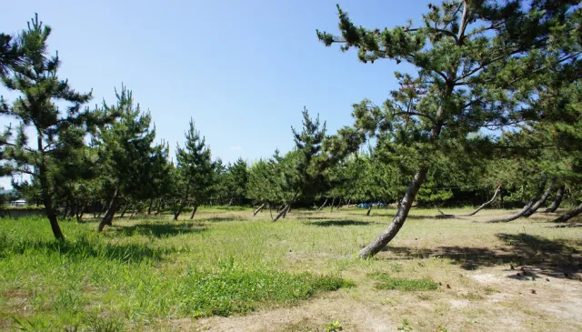 窪田キャンプ場
