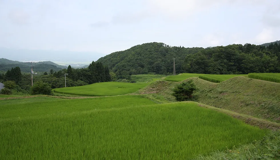 豊かな自然が多くの移住者を惹きつける猿八地区