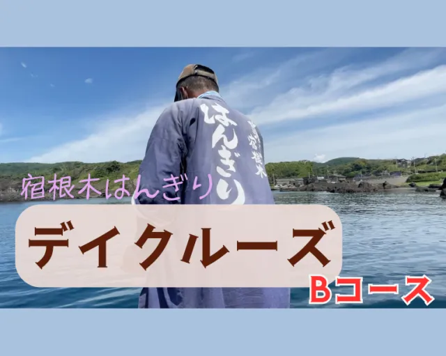 【乗船券付きプラン】はんぎりデイクルーズ Bコース（25分）　…