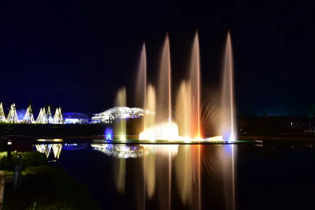 国営越後丘陵公園「サマーイルミネーション」