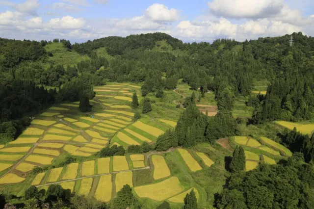 慶地の棚田