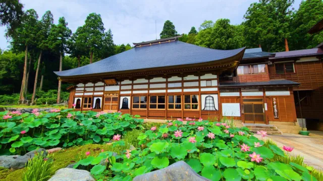 宝泉寺二千年蓮