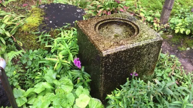 柳清水