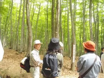 心美人ハイキング