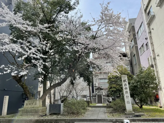 長岡城址 二の丸跡