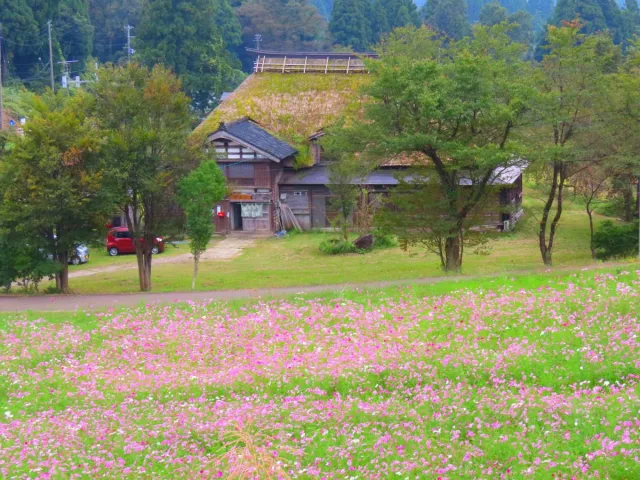 牧ふるさと村　自然と憩の森