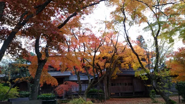 東桂苑 庭園