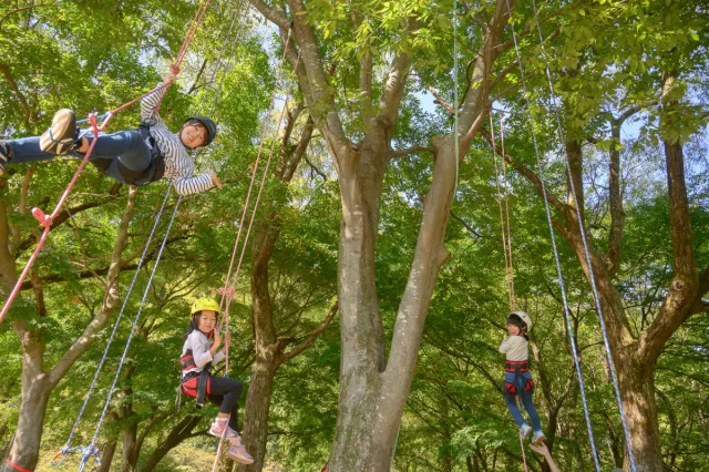 樽ケ橋遊園でツリーイング体験