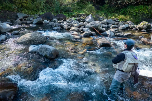 FLY FISHING SCHOOL　下田郷