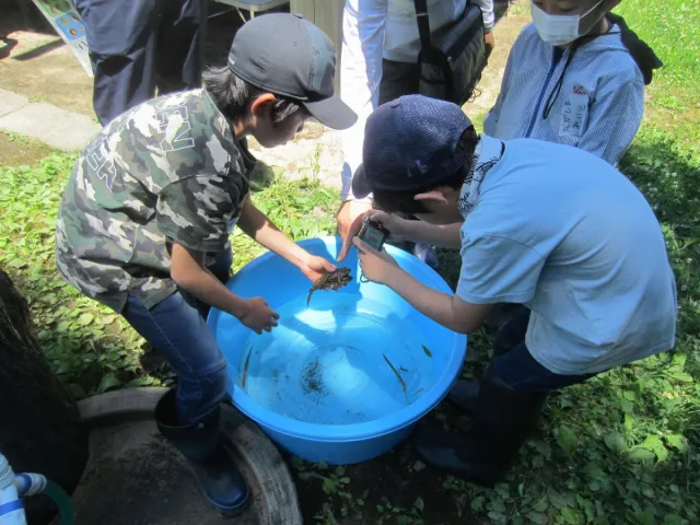 国営越後丘陵公園「田んぼの生きもの観察会」
