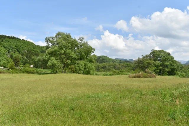 胎内市無料キャンプ場 夏井河川公園