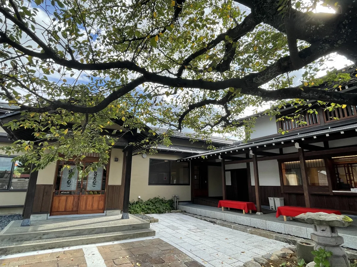 外観と桜の木