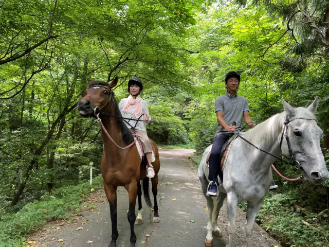 サラブレッドに乗れる！山道で乗馬体験