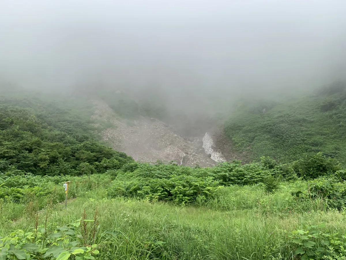 塵等の付着により茶色の万年雪