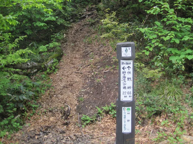 信越トレイル（大島区）