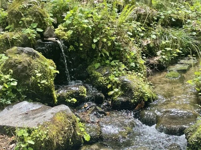 杜々の森名水公園