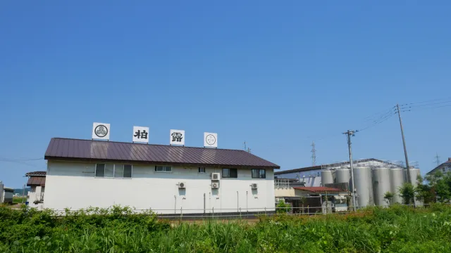 柏露酒造 蔵まつり 第3回「発酵フェス 2026」