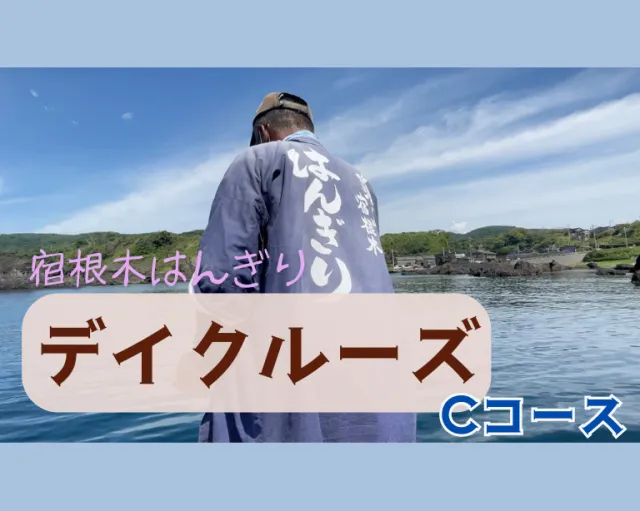 【乗船券付きプラン】はんぎりデイクルーズCコース（35分）　…