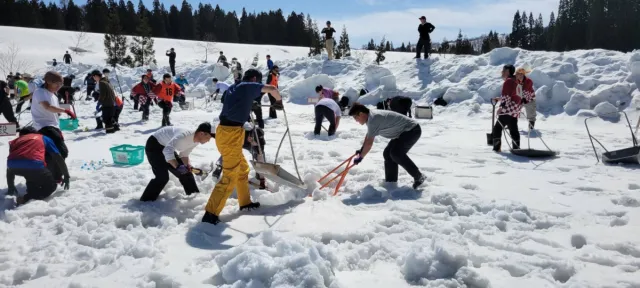津南の雪下にんじん掘り競争