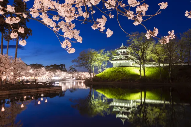 高田城址公園観桜会とワイナリーレストランディナーを楽しむバ…