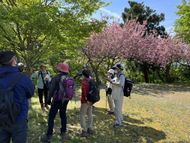 国上山 Nature Walk ～里山自然観察会～