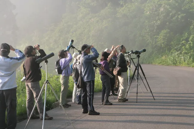 松之山探鳥会