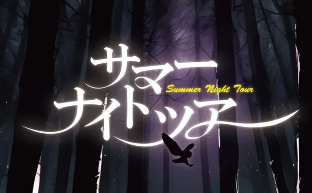 【夏休み限定！】 サマーナイトツアー