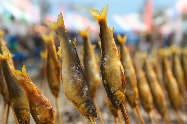 魚野川鮎まるかじり祭と魚沼醸造の甘酒ツアー