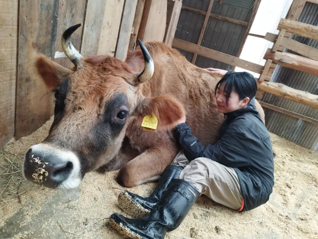 【春休み限定】親子にオススメ!森の中の小さな牧場 動物ふれ…