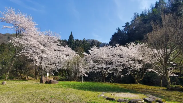 五頭山麓いこいの森