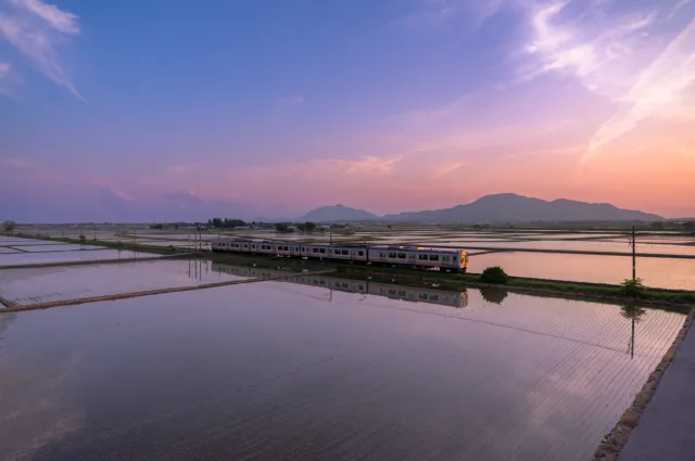 越後平野の水鏡