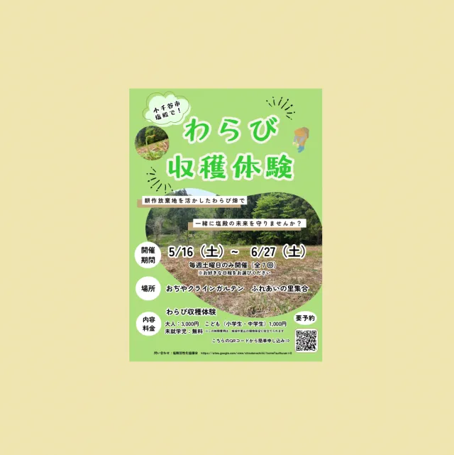 【小千谷市】塩殿でわらび収穫体験開催！