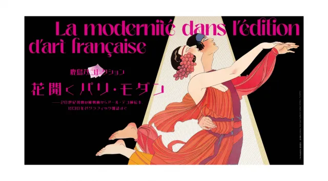 新潟県立万代島美術館 企画展「鹿島茂コレクション　花開くパ…