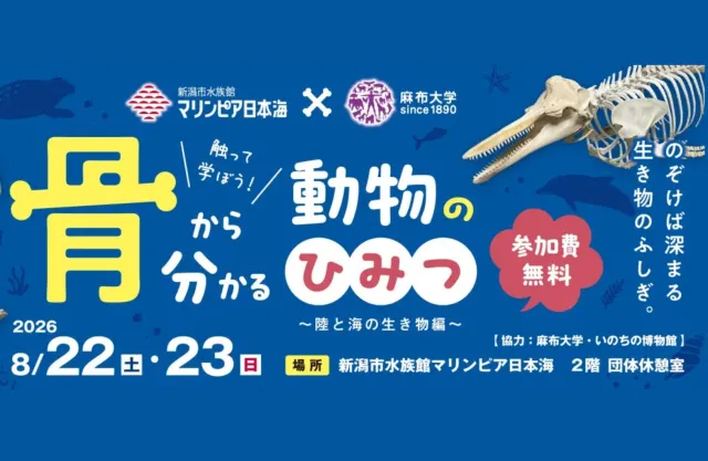 【マリンピア日本海】触って学ぼう！骨から分かる動物のひみつ
