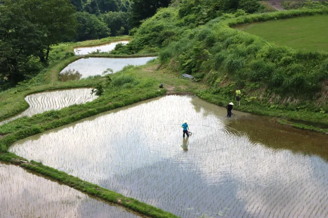十日町里山ウォーキング 儀明・蒲生の棚田コース