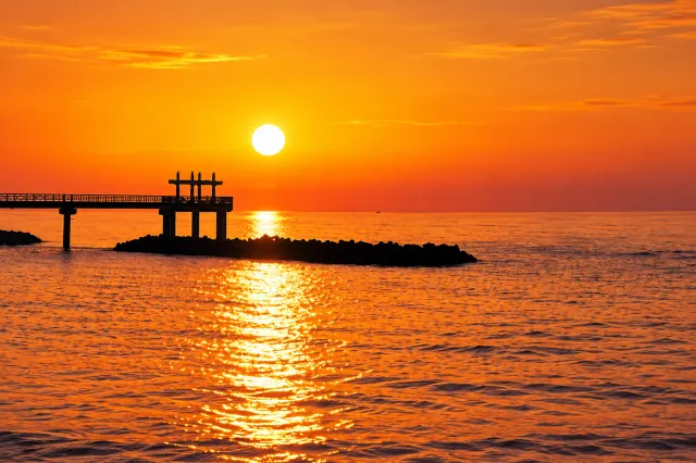 新潟県海水浴情報2026