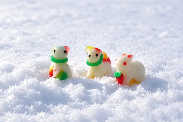 雪国体験