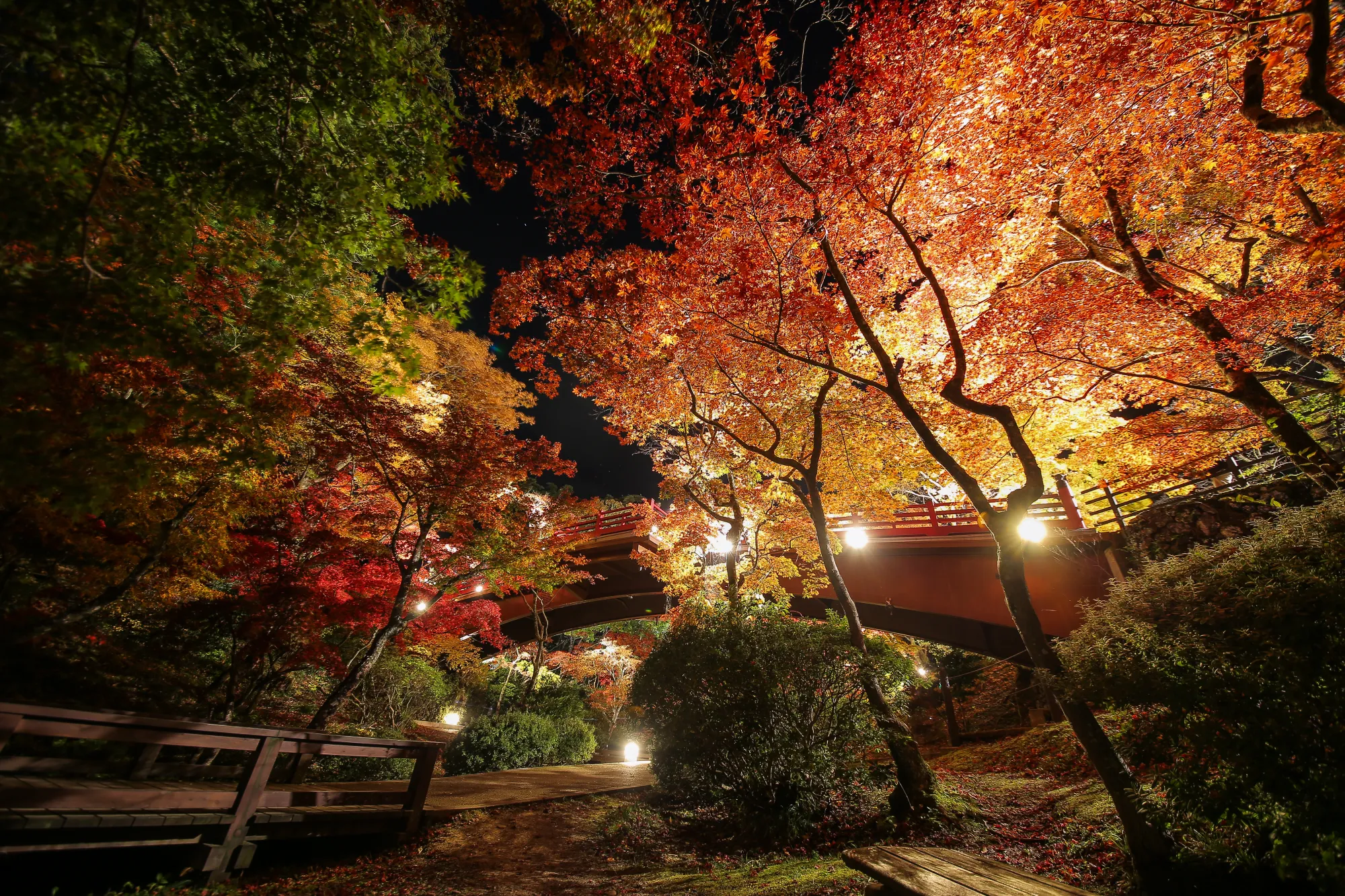 弥彦公園／弥彦村