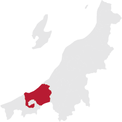 新潟県内での上越市の位置